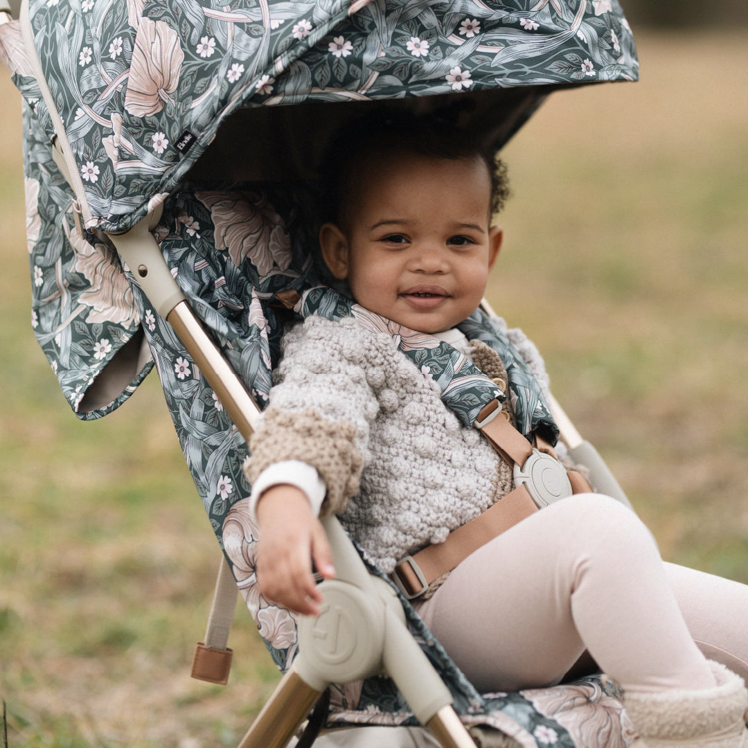 モンドストローラー - Pimpernel × ゴールドフレーム